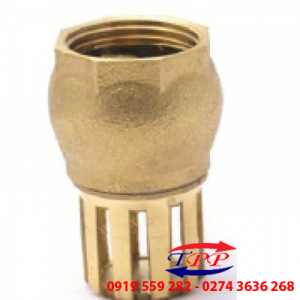 Rọ Đồng MI - PN 10