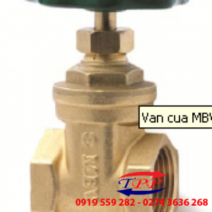 Van Cửa Đồng MBV - PN 10