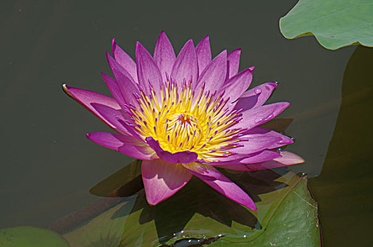 bí kíp đánh lô