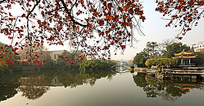 thống kê lô tô