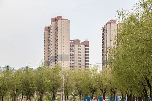 soi cầu 288