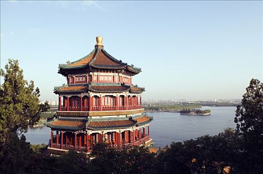 bạch thủ 666