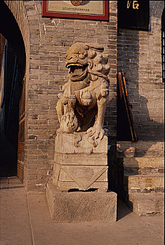 soi cau lo bach kim